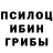 Псилоцибиновые грибы мицелий Cossiey M.