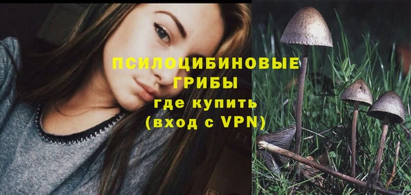 мяу мяу кристалл Горно-Алтайск