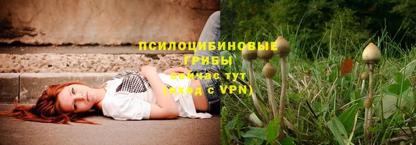 дживик Алзамай