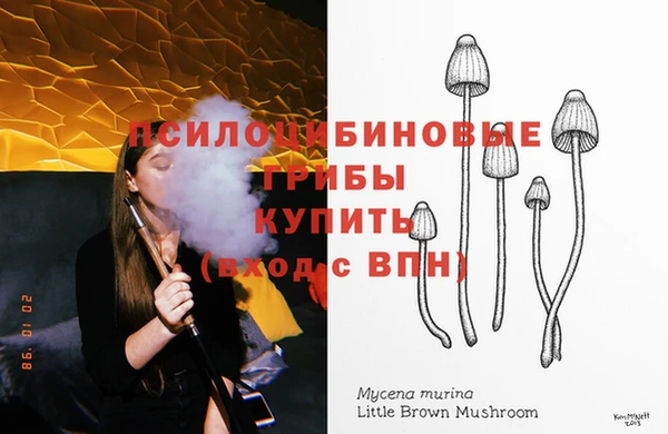 МДПВ Алексеевка
