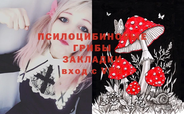 МДПВ Алексеевка