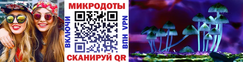 мега tor  Инта  Галлюциногенные грибы Psilocybine cubensis 