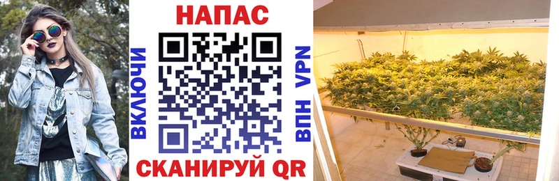 мега зеркало Инта Бошки марихуана Bruce Banner
